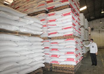 Indonesia Cetak Ekspor Terbesar Sepanjang Sejarah