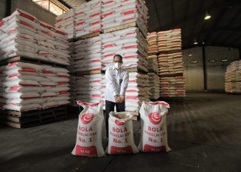 Bulog Salurkan Kedelai Pada Harga Lebih Rendah Until Pengrajin Tahu Tempe