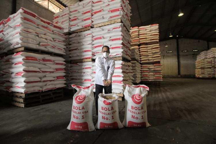 Bulog Salurkan Kedelai Pada Harga Lebih Rendah Until Pengrajin Tahu Tempe