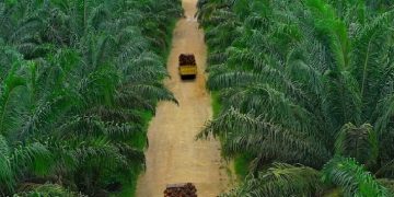 Laporan Keuangan Teladan Prima Agro (TLDN) 2021 Mencatat Kenaikan Laba Sebesar 129% Menjadi Rp 531,2 Miliar