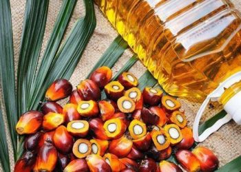 Minyak Sawit Picu Penurunan Terdalam Ekspor Industri Pengolahan