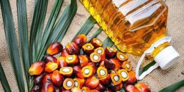 Minyak Sawit Picu Penurunan Terdalam Ekspor Industri Pengolahan