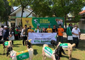Kolaborasi KITA Kembali Tebar Ratusan Hewan Kurban Bersama Ratusan Komunitas Indonesia Timur