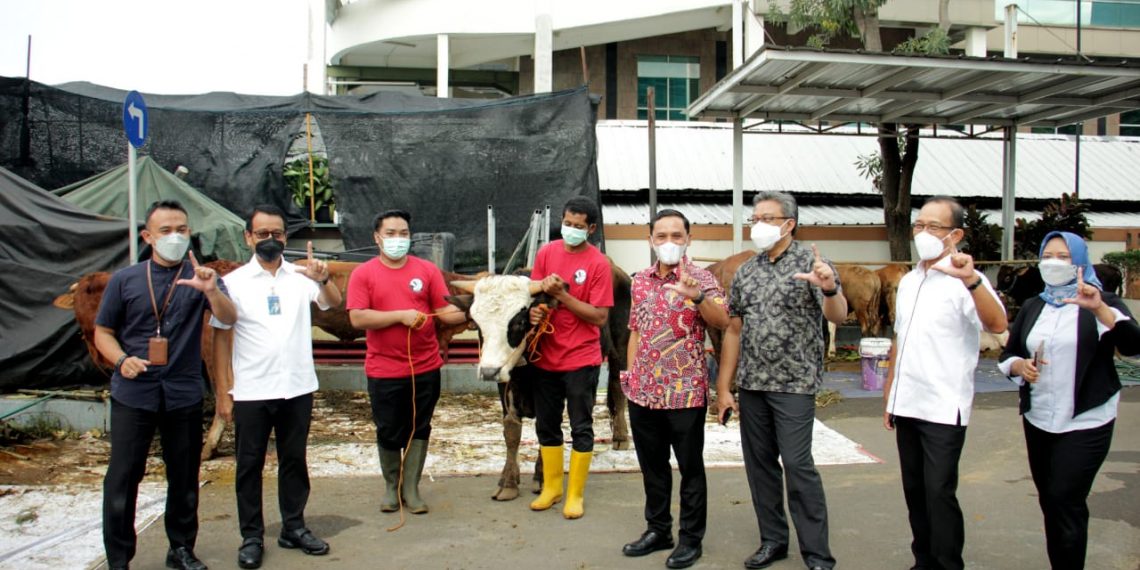 Jamkrindo Berbagi Hewan Kurban Untuk Masyarakat