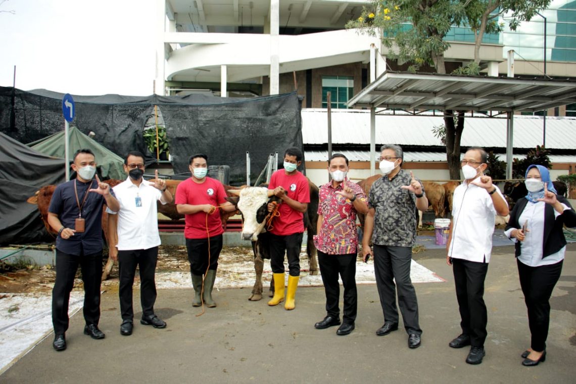 Jamkrindo Berbagi Hewan Kurban Untuk Masyarakat