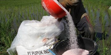 Gara-Gara Perang Rusia-Ukraina, Pemerintah Batasi Pemberian Pupuk ke Petani