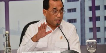 Menhub Budi Karya Jajaki Kerja Sama dengan Austria untuk Proyek IKN