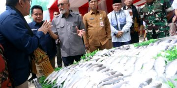 Desa Binaan BSI di Meunasah Asan Aceh, Ekspor Perdana 60 Ton Bandeng ke Korsel dan Jepang