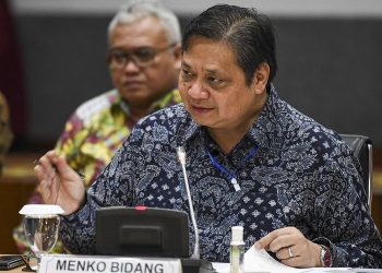 Menko Airlangga Bicara Soal Lambannya Pengembangan Blok Masela
