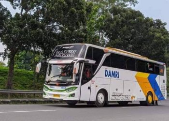 DAMRI Operasikan 24 Bus Listrik di KTT G20 Bali
