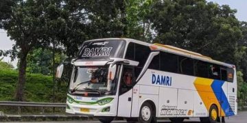 DAMRI Operasikan 24 Bus Listrik di KTT G20 Bali