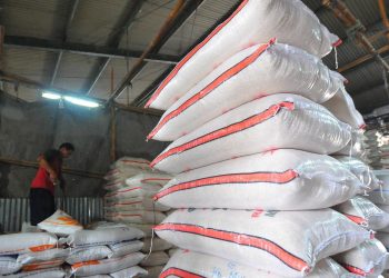 Stok Beras Menipis, RI Bakal Buka Keran Impor?