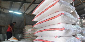 Stok Beras Menipis, RI Bakal Buka Keran Impor?