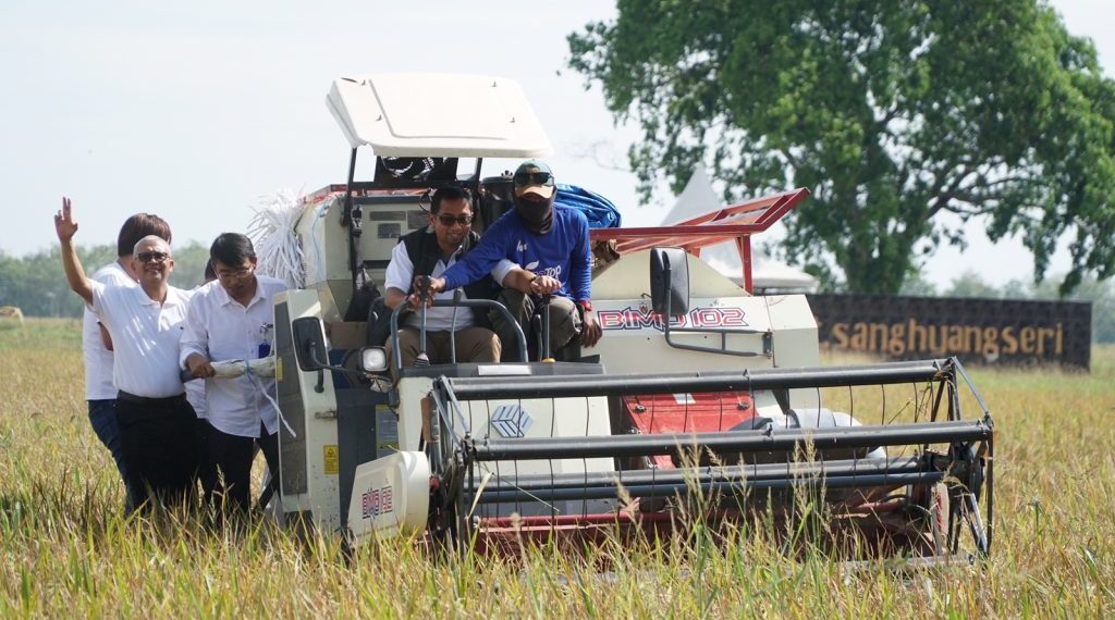 Antisipasi Resesi, ID Food Kolaborasi dengan Petani