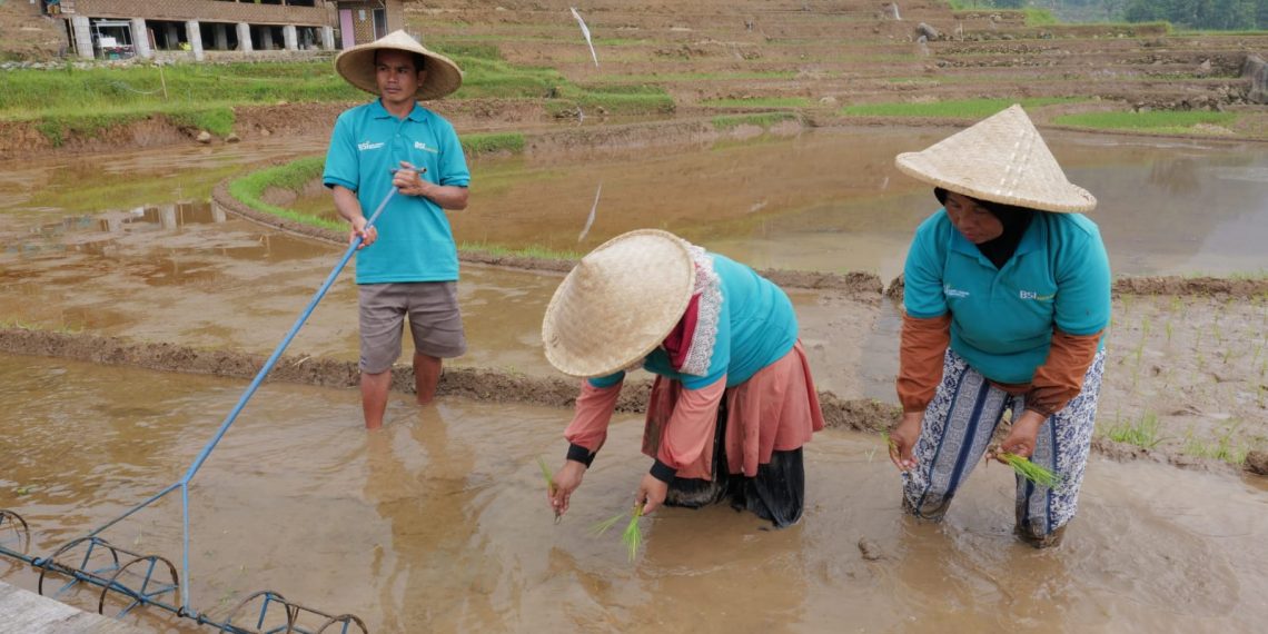 BSI Dorong Desa Binaan di Bogor Jadi Desa Sentra Padi