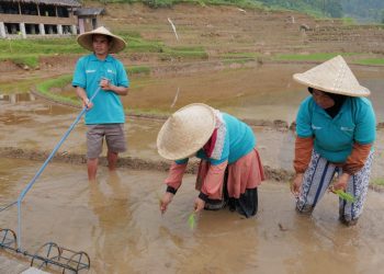 BSI Dorong Desa Binaan di Bogor Jadi Desa Sentra Padi
