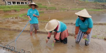 BSI Dorong Desa Binaan di Bogor Jadi Desa Sentra Padi