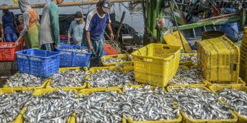 Neraca Dagang Perikanan Surplus 5 Miliar Dolar AS