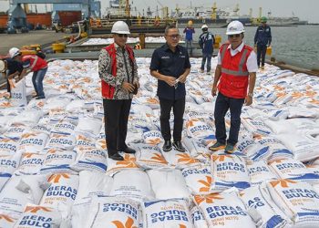 Mendag Minta Impor Beras Ditutup Akhir Januari, Ini Jawaban Buwas