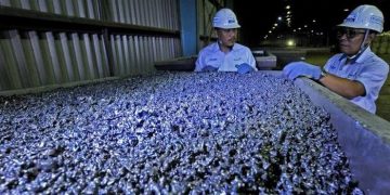 Indonesia Berhasil Dapat Rp360 Triliun per Tahun dari Pelarangan Ekspor Nikel