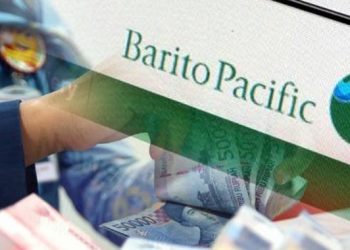 BRPT Terbitkan Obligasi Rp 1 Triliun dalam 3 Seri, Simak Besaran Bunganya