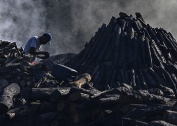 DPR dan KLHK Datangi Penampungan Arang Bakau di Batam, Langsung Disegel