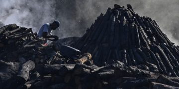 DPR dan KLHK Datangi Penampungan Arang Bakau di Batam, Langsung Disegel