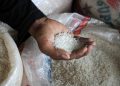 Beras Impor Masuk RI Sepanjang Januari 2023 Capai 190.000 Ton