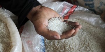 Beras Impor Masuk RI Sepanjang Januari 2023 Capai 190.000 Ton
