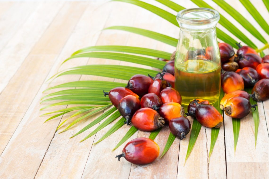 Harga Pupuk Mahal Jadi Penyebab Produksi Minyak Sawit RI Hanya Naik Tipis