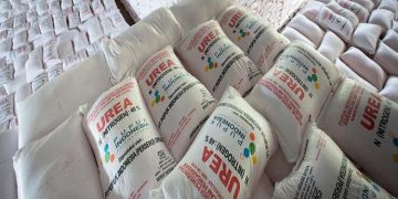 Pupuk Indonesia Bakal Bangun Pabrik Baru