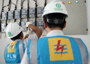 PLN Salurkan 1.400 Unit REC untuk 11 Perusahaan di Bali