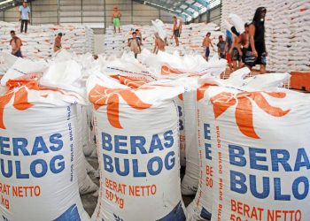Bulog Incar Lima Negara untuk Datangkan Beras Impor