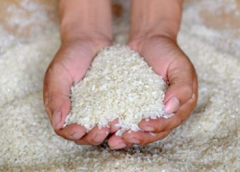 RI Bakal Impor 2 Juta Ton Beras, Ini Kata Bapanas