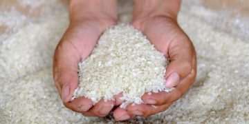 RI Bakal Impor 2 Juta Ton Beras, Ini Kata Bapanas