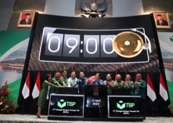 PT Trimegah Bangun Persada Tbk.Pure-Nickel Play Terbesar di Indonesia Mencatatkan Saham di BEI