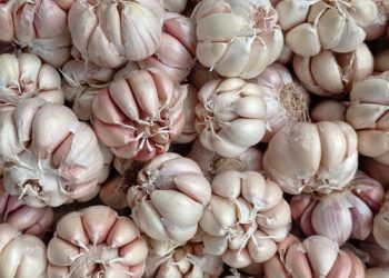 Harga Bawang Putih Naik, Badan Pangan dan Kemendag Lakukan Hal Ini
