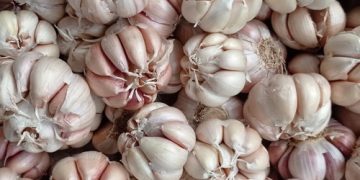 Harga Bawang Putih Naik, Badan Pangan dan Kemendag Lakukan Hal Ini