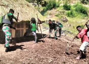 Bantu Kesulitan Warga, Satgas Yonif 721/Mks Bangun Honai Dan Rumah Bapak Gembala