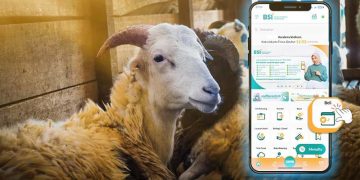 Layani Kurban Online, BSI Maslahat Siap Distribusikan Daging untuk Umat