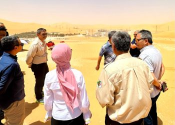 MLN Algeria Jadi Lapangan Migas Pertama Pertamina di Luar Negeri