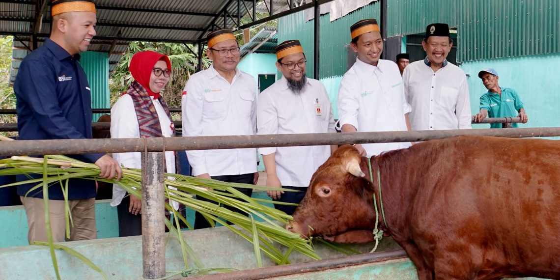 Desa Binaan, BSI Dukung Parangbanoa Angkat Potensi Peternakan Sapi Potong