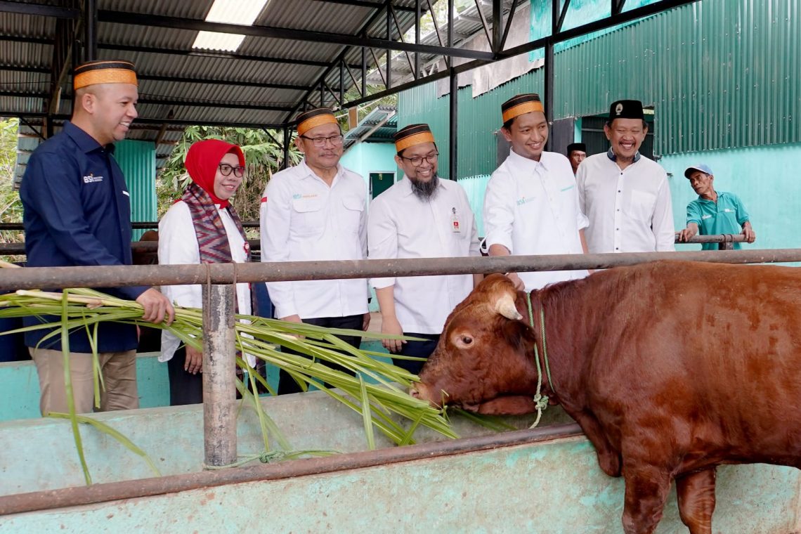 Desa Binaan, BSI Dukung Parangbanoa Angkat Potensi Peternakan Sapi Potong