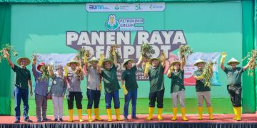 Produktivitas Ubi Cilembu Meningkat 35,29 Persen, Di Demplot Petrokimia Gresik