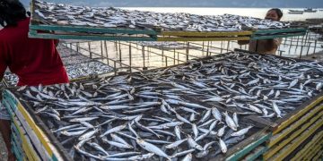 Produk PT Perikanan Indonesia Sudah Kantongi Sertifikat Halal