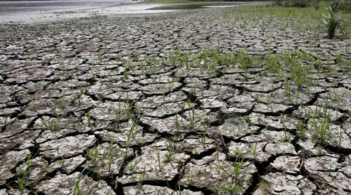 Inflasi Turun, tapi Wapadai El Nino yang Ancam Ketahanan Pangan