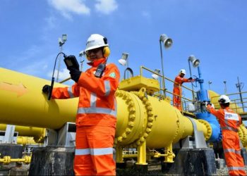 PGN Buka Peluang Kerja Sama Garap Proyek Biomethane Plant Development