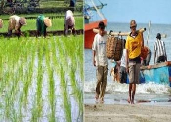 Tingkatkan Skala Ekonomi, Petani dan Nelayan Didorong Berkoperasi