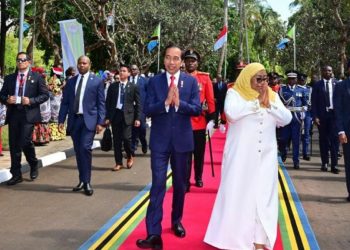 RI Perkuat Kerja Sama Energi dengan Tanzania