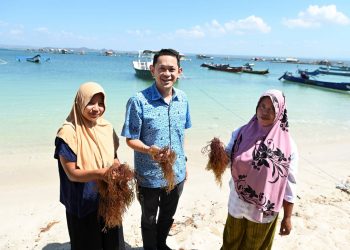 Bluebird Dukung Ekonomi Biru dengan Konversi Setiap Kilometer “Run&Ride”